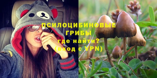 бошки Верхнеуральск