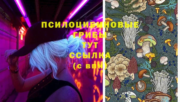 бошки Верхнеуральск