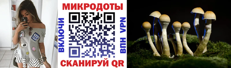 Псилоцибиновые грибы Cubensis где продают наркотики Верхнеуральск
